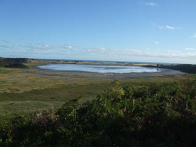 Tower-Hill-Lake